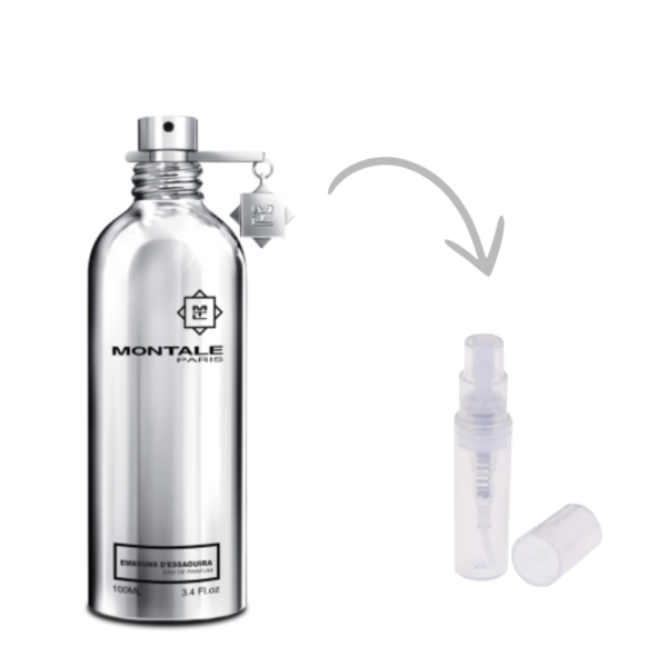 Montale Embruns d'Essaouira Eau De Parfum - Decant 2ml